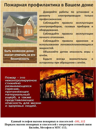 s33118963.jpg