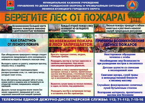 s35754263.jpg